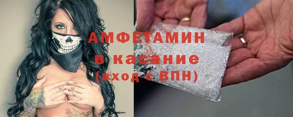 гидра Богородицк
