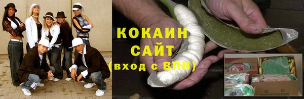 гидра Богородицк