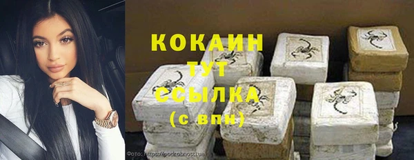 гидра Богородицк