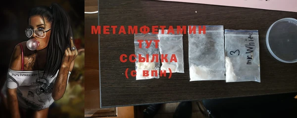 гидра Богородицк