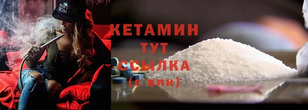 гидра Богородицк