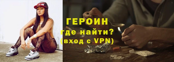гидра Богородицк