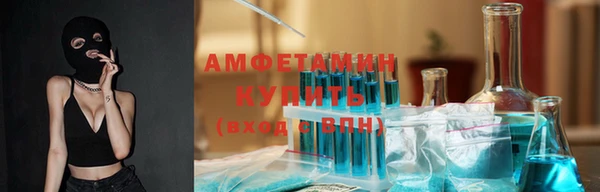гидра Богородицк