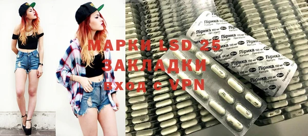 ГАЛЛЮЦИНОГЕННЫЕ ГРИБЫ Белокуриха