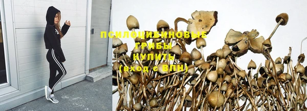 мет Богданович